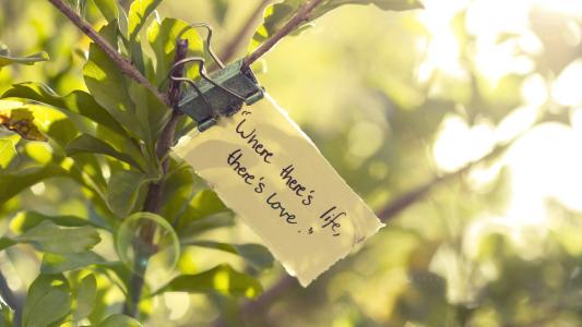 所谓的红颜和蓝颜,世上哪有蓝颜和红颜