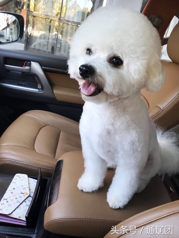 用爱暖通辽!助力通辽人!