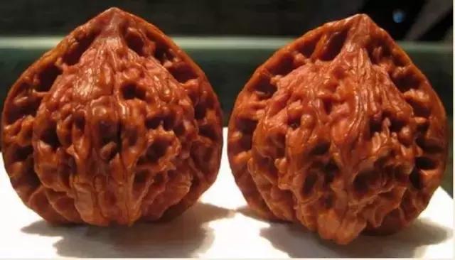 文玩核桃品种图鉴大全前十名,文玩核桃手串品种大全