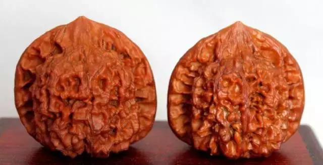 文玩核桃品种图鉴大全前十名,文玩核桃手串品种大全