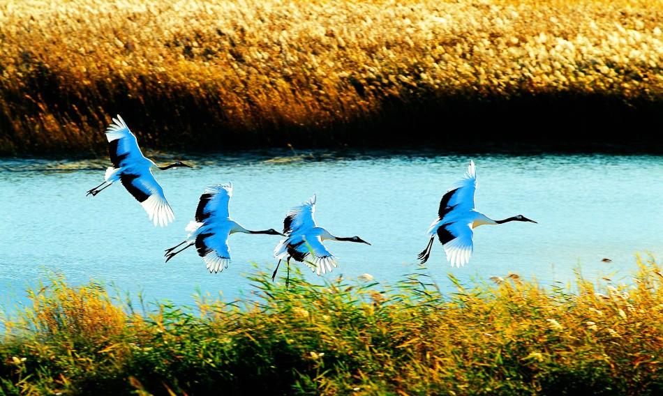 春花秋月夏夜冬雪解说,歌咏春夏秋冬的诗词