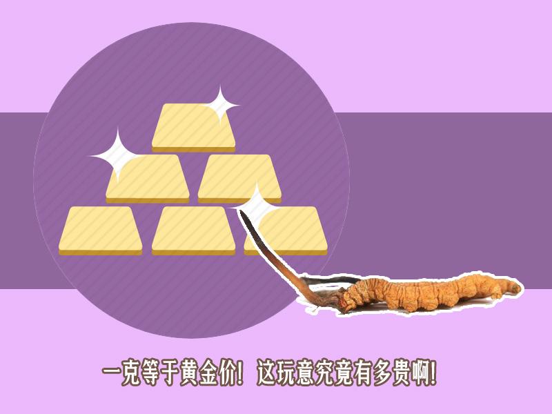 为什么网上说的冬虫夏草那么贵 (网上冬虫夏草为什么那么便宜)