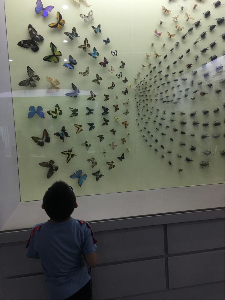 和小屁孩们一起出去玩的视频,和小屁孩玩的一天