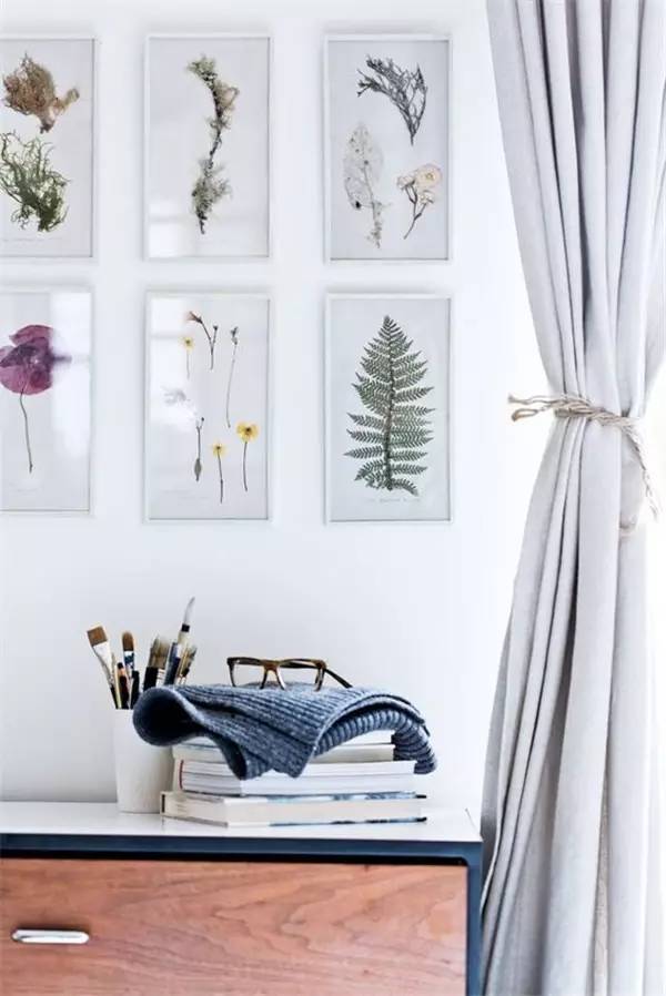 自己在家怎么做植物标本 (秋天如何做植物标本)