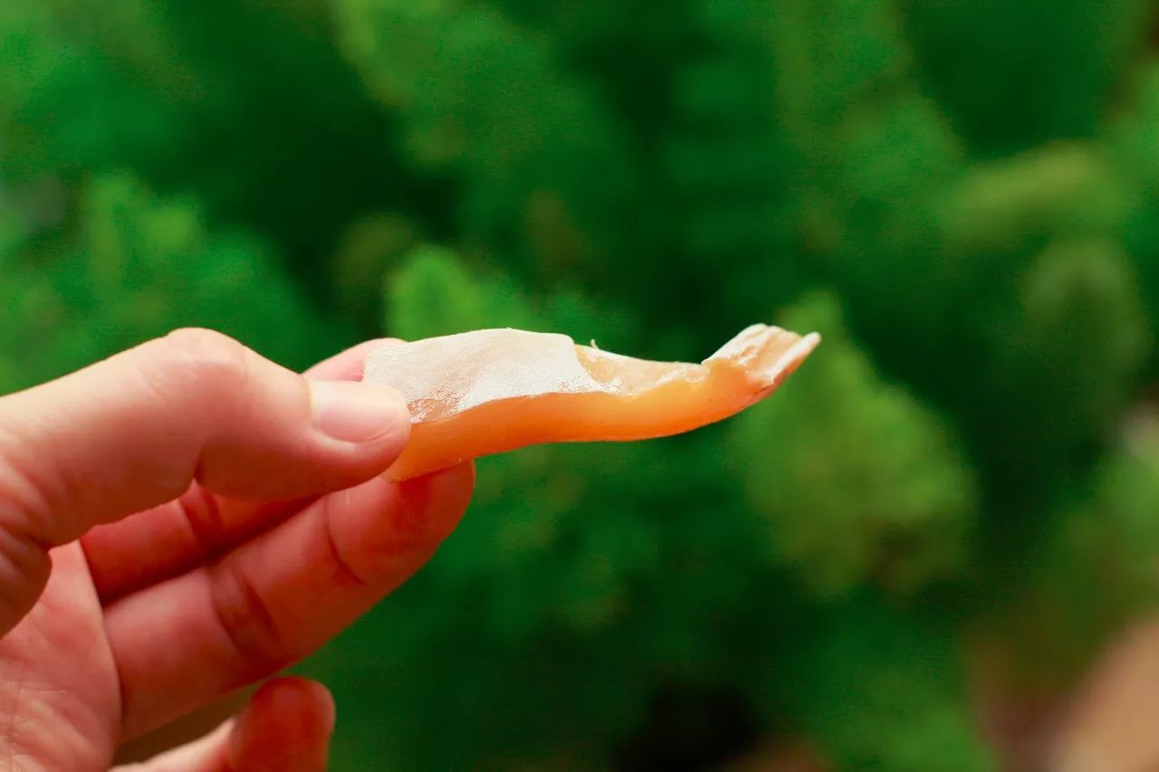 冬夜为阴中之阴之阴墨鱼养的就是身体的“血”和“阴”