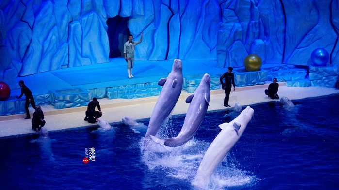 新年广州珠海长隆游记,广州珠海长隆澳门自由行攻略