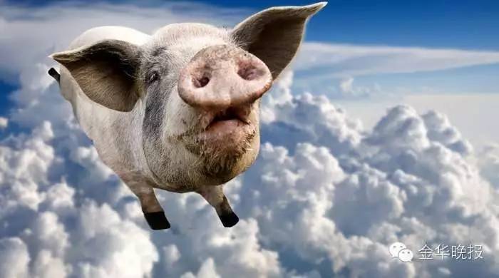 二师兄身价暴涨怎么办,二师兄身价暴涨接下来会怎样