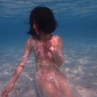 马尔代夫神仙珊瑚岛攻略,马尔代夫神仙珊瑚岛视频