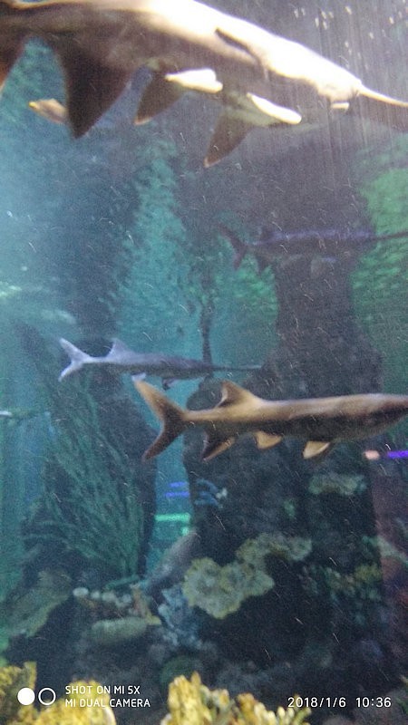 自驾游环游中国路线安徽出发,开封至安徽黄山自驾游攻略