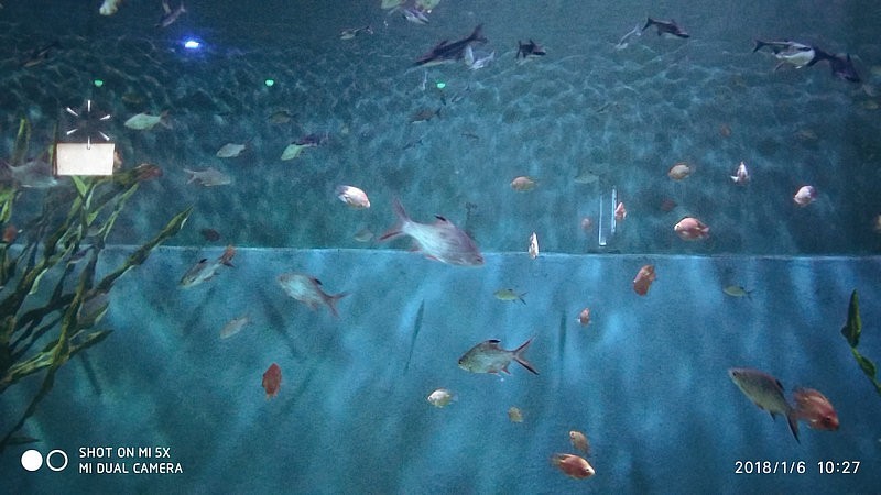 自驾游环游中国路线安徽出发,开封至安徽黄山自驾游攻略