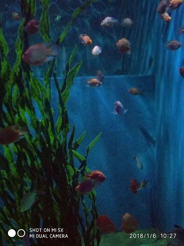 自驾安徽行13天——第一篇开封东京极地海洋馆