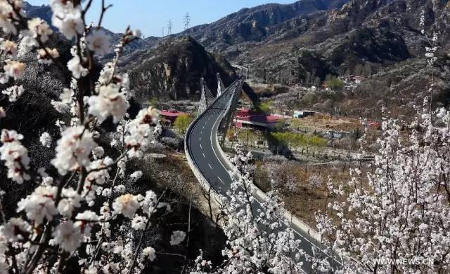 一家四口亲子游酒店推荐儿童房,京郊游景区住宿推荐最新