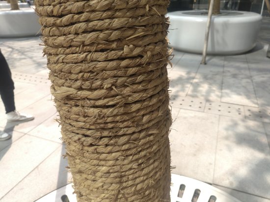 乐max2的使用技巧,乐max2还能用不