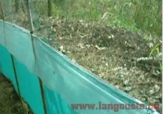 小龙虾养殖塘如何建设,养小龙虾田怎样建塘为好