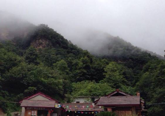 姹変腑鍧愰珮閾佺帺鐨勫ソ鍘诲,鍘绘眽涓帺濂借繕鏄幓骞垮厓鐜╁ソ