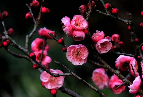 姹変腑鍧愰珮閾佺帺鐨勫ソ鍘诲,鍘绘眽涓帺濂借繕鏄幓骞垮厓鐜╁ソ