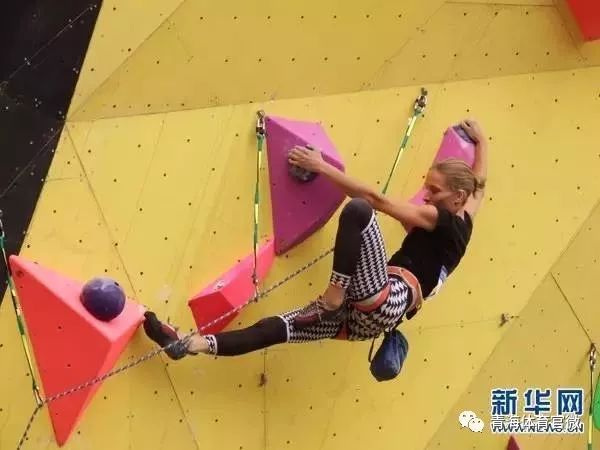 体育产业体育文化发展,体育产业新动态