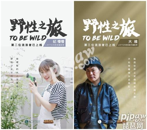 斐济最新旅行攻略,斐济深度游