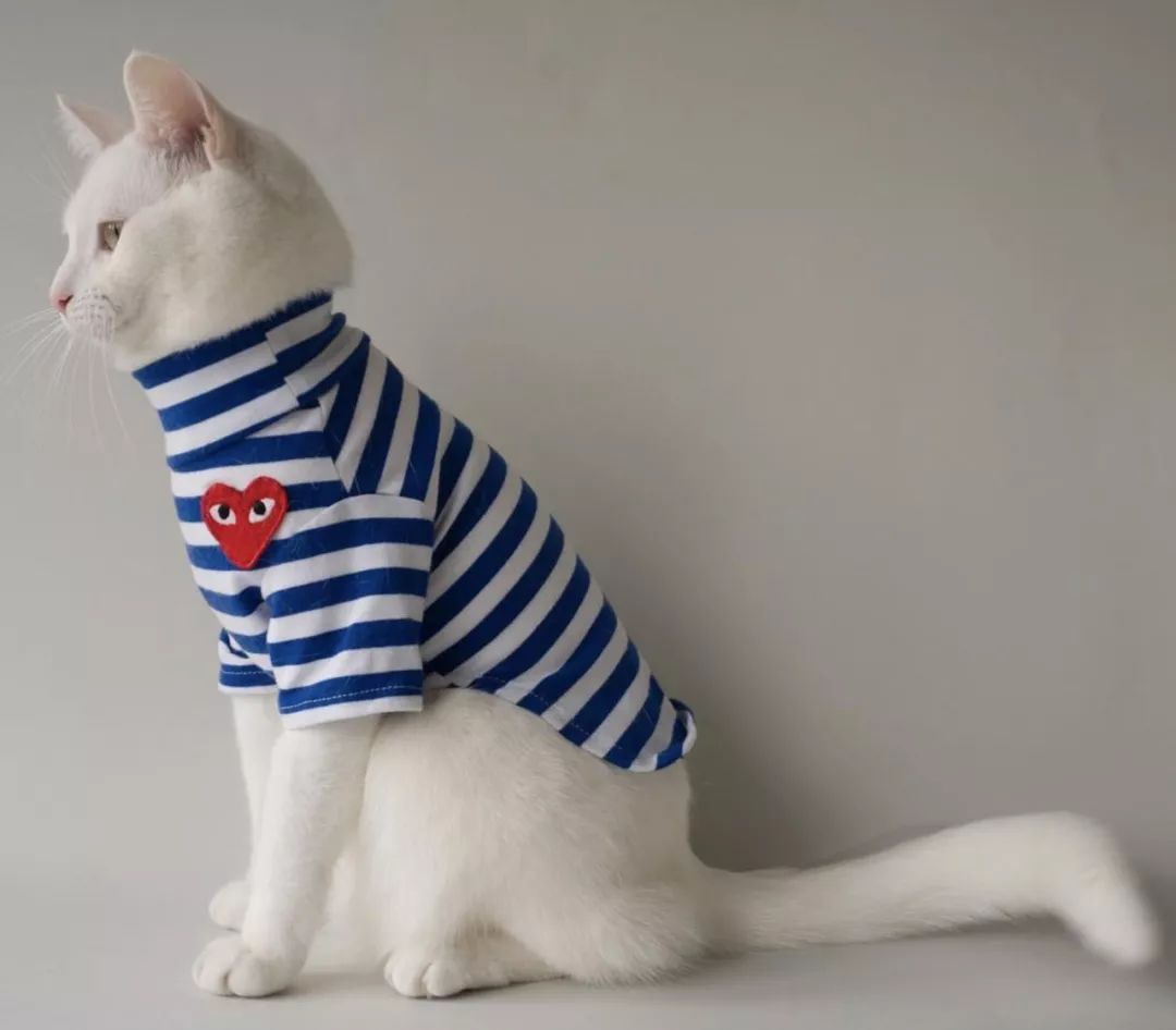 十二生肖驾到，时尚精们给我退下！