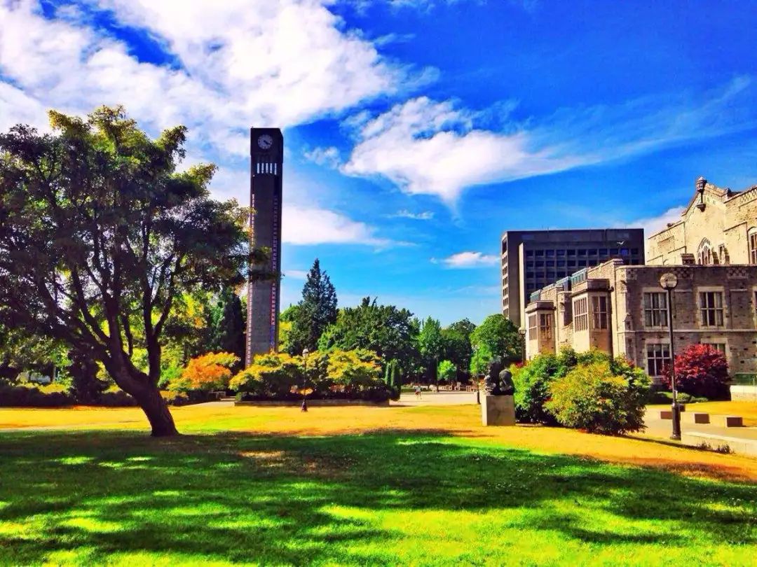 围棋单招高校有哪些,2019围棋特长生报考