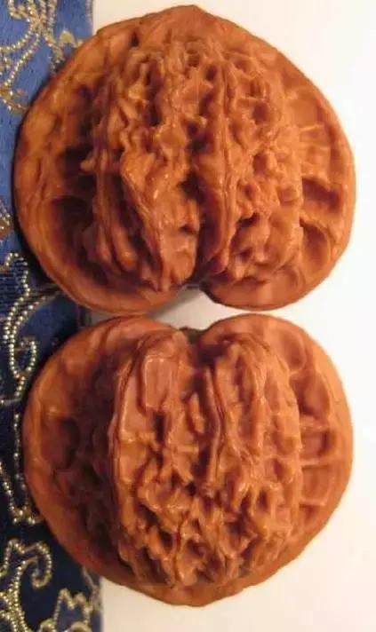 文玩核桃品种图鉴大全前十名,文玩核桃手串品种大全