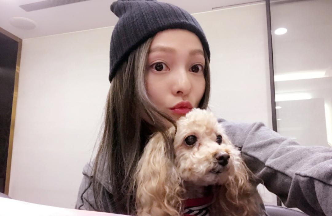 张韶涵是怎么一路走过来的,张韶涵是怎么振作起来的