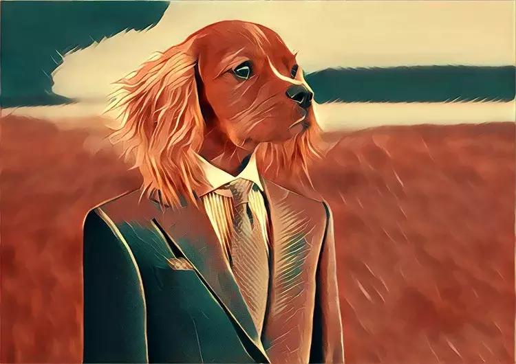 证券经纪人需要的常识,一个中介的自白