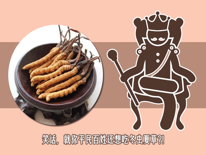 为什么网上说的冬虫夏草那么贵 (网上冬虫夏草为什么那么便宜)