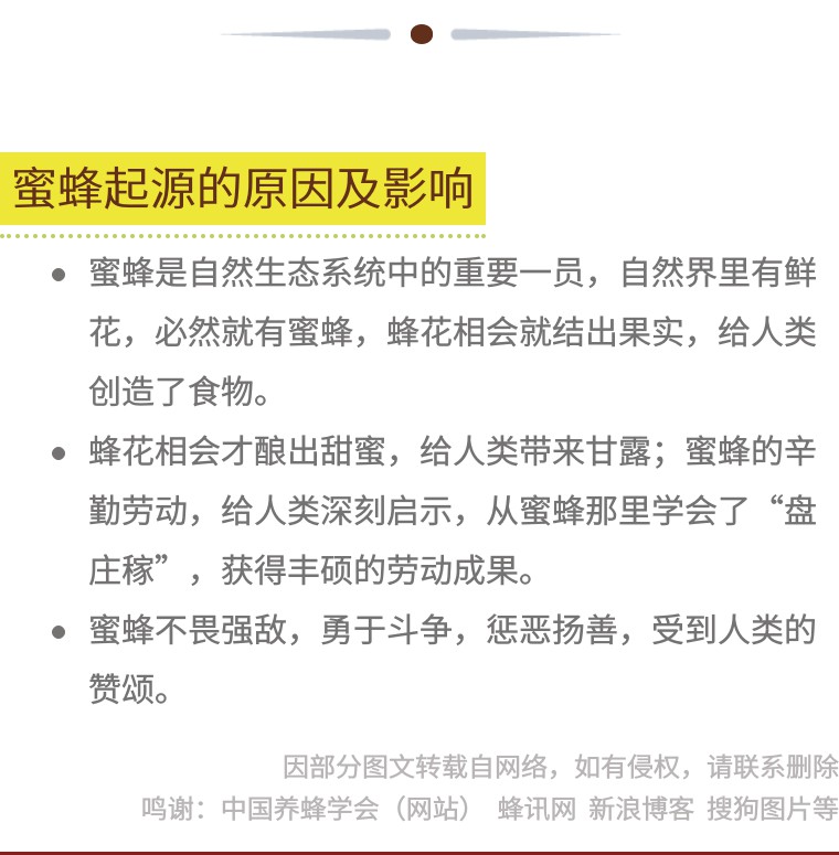 古希腊、古玛雅、古埃及还有中国，哪里是蜜蜂的起源