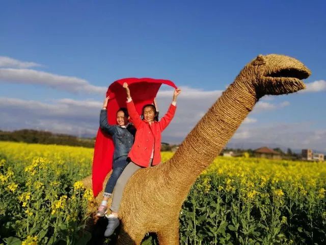 尼苏油菜花,快来打卡油菜花