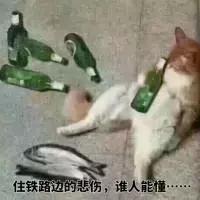 成都哪些地区的房子不能买,成都五个地方的房子不能买