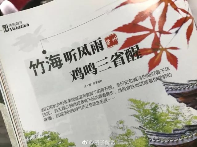 不再关心不再过问,不再过问身后事