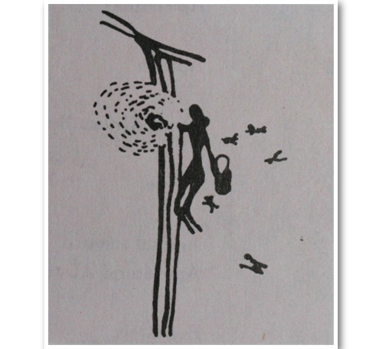 古希腊、古玛雅、古埃及还有中国，哪里是蜜蜂的起源