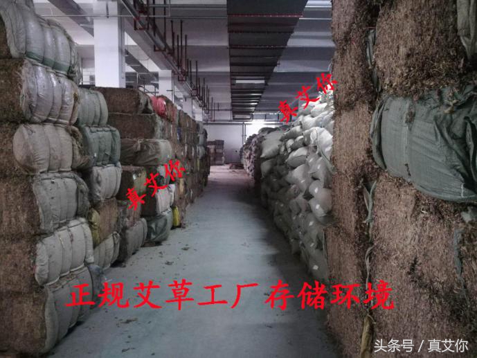 硫磺熏艾叶的真相！艾艾贴、艾条、艾叶真的有被硫磺熏的情况吗？