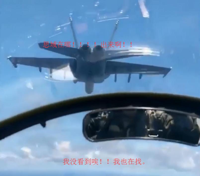 秒天秒地秒思域什么梗,思域调侃是什么梗