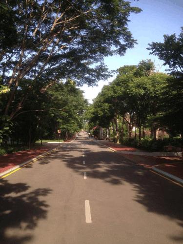 比阿里巴巴园区还要炫的Infosys班加罗尔园区，带你了解印度的IBM