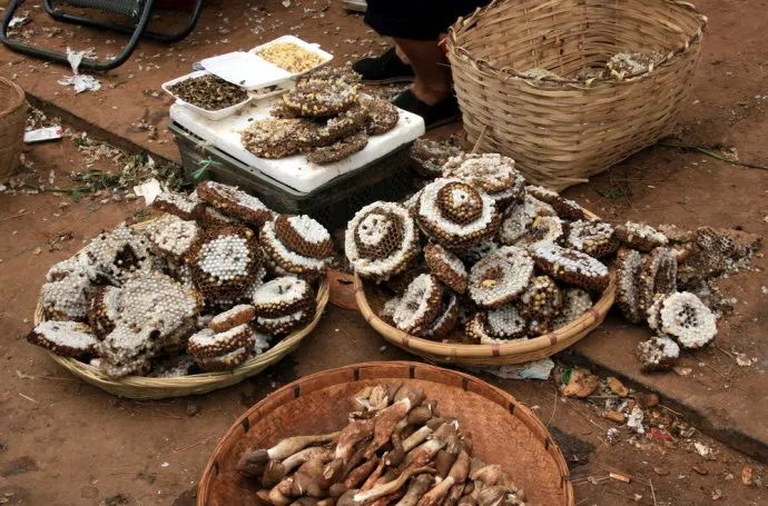 云南的土壤好吗,云南可以吃的土是什么来的