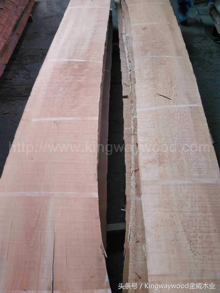 榉木板材批发厂家直销,光面榉木板材批发