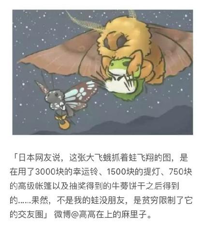 小青蛙去旅游,小青蛙旅行去哪里