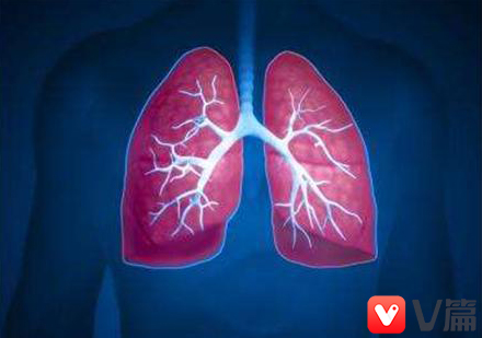 后背长痘痘去除小妙招,后背长痘痘怎么调理排毒祛痘