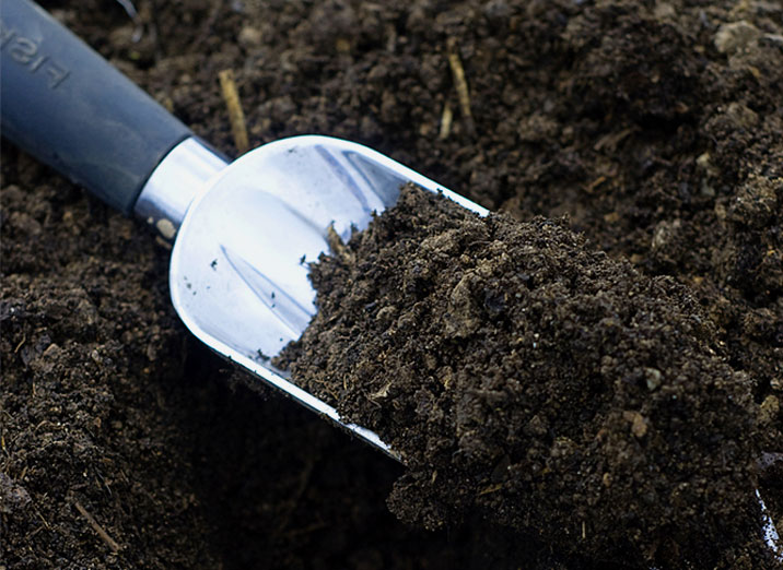 土壤酸碱度测定的实验报告,如何自己测试土壤的酸碱度