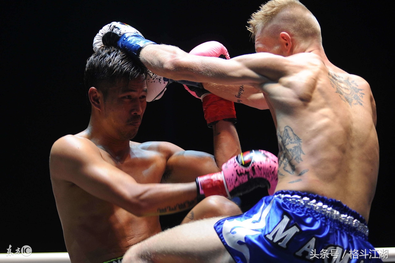 蒙古搏击冠军功夫熊猫,搏击王功夫盛典