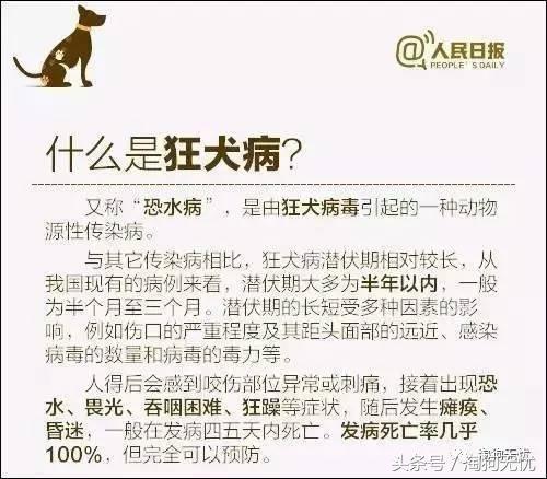 求助小猫被绳子缠住后续,被猫抓了要去打针吗