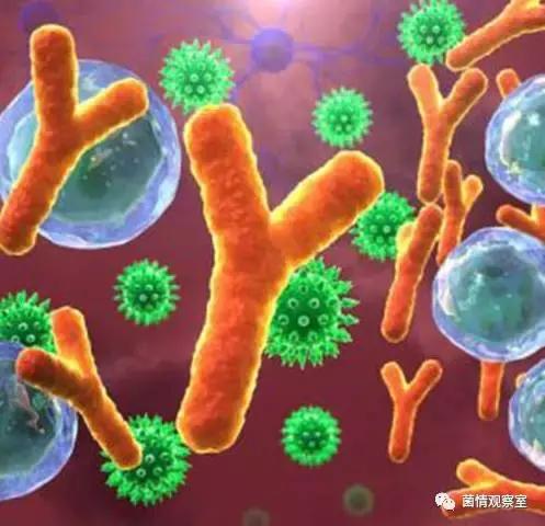 蓝骑士好鼻子益生菌治疗鼻窦炎吗,儿童鼻窦炎可以吃益生菌调理吗