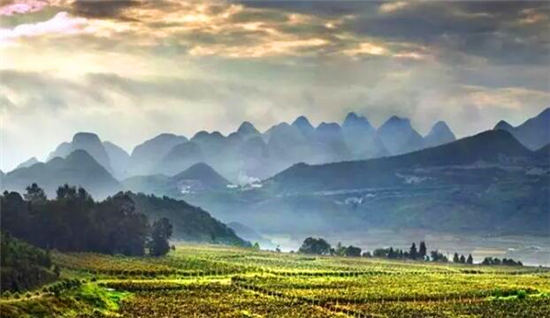 落地自驾云贵黄果树瀑布罗平油菜花元阳梯田西双版纳11日游