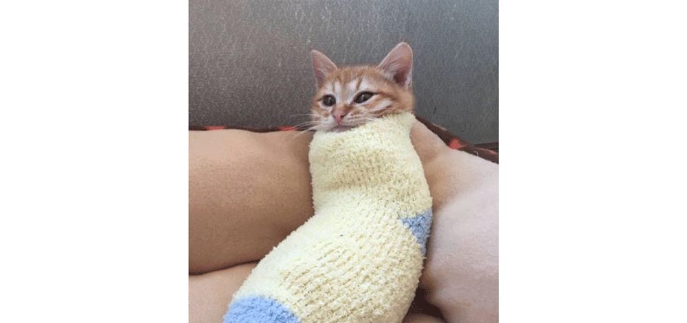 范冰冰脸蛋值多少钱,范冰冰的脸值多少钱