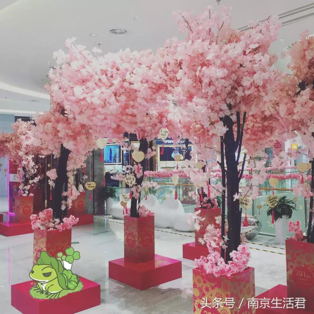 别等了！你的蛙好像恋爱了，总是去这个地方！对象竟然是鸭妹妹！