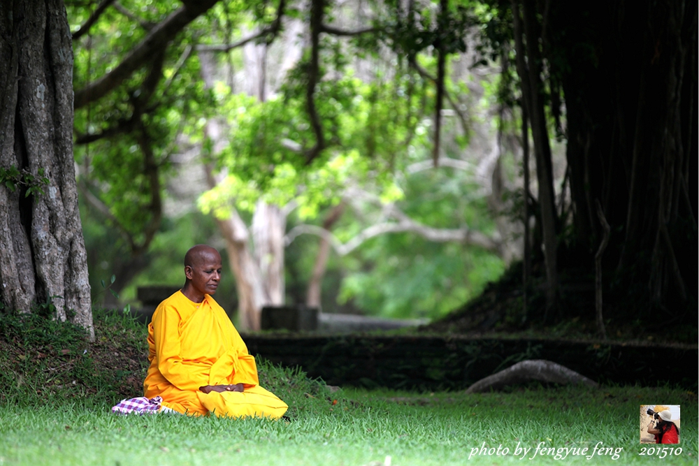 斯里兰卡旅游景点视频全集,斯里兰卡咋去