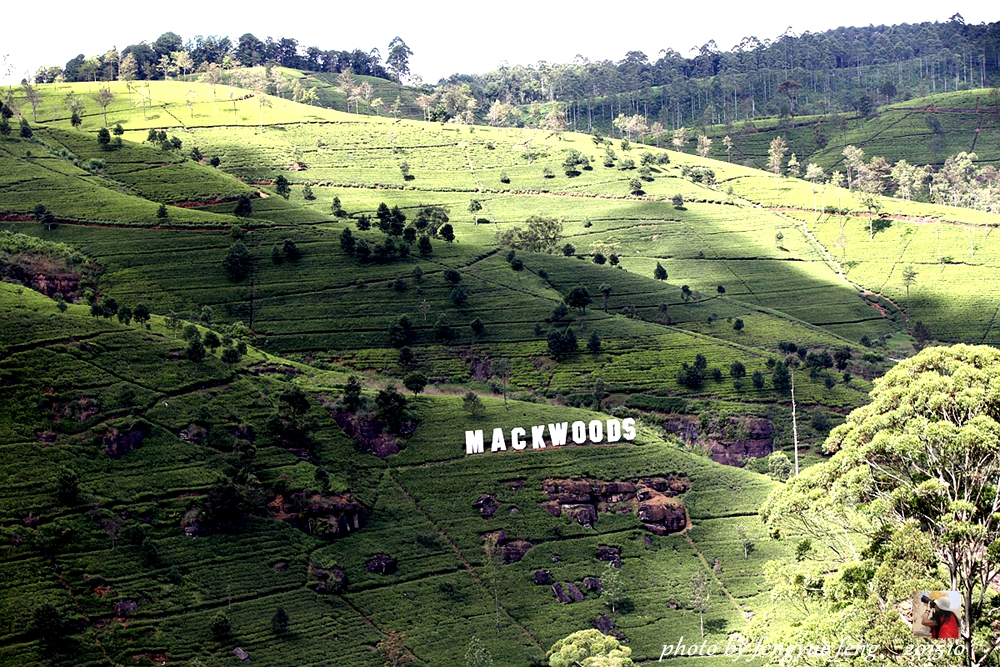 斯里兰卡旅游景点视频全集,斯里兰卡咋去
