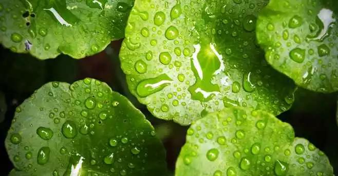 国货好物推荐性价比,国货超好用便宜